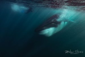 bc7d8fac-70a8-409c-8e91-2fd0255d639f